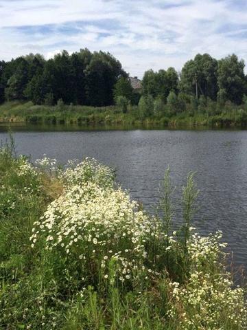 Крушинка, Фастівський, Київська область 180000 USD