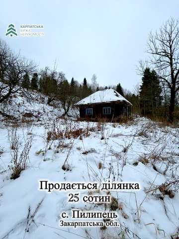 Пилипець, Хустський, Закарпатська область 50000 USD