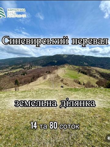Синевир, Хустський, Закарпатська область 14000 USD
