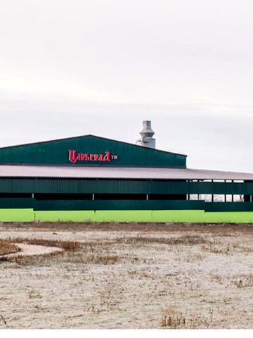 олеся бердника, 1