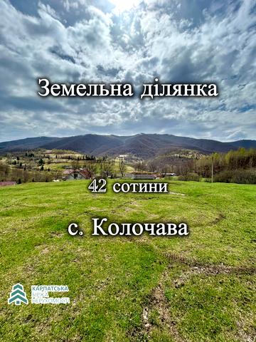 Колочава, Хустський, Закарпатська область 63000 USD