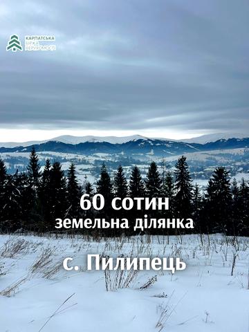 Пилипець, Хустський, Закарпатська область 60000 USD