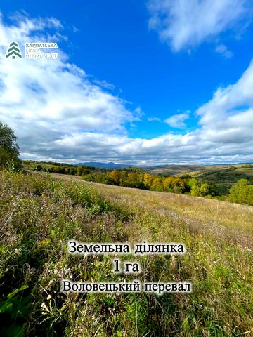 Воловець, Мукачівський, Закарпатська область 8000 USD