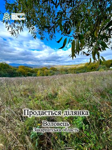 Воловець, Мукачівський, Закарпатська область 18000 USD
