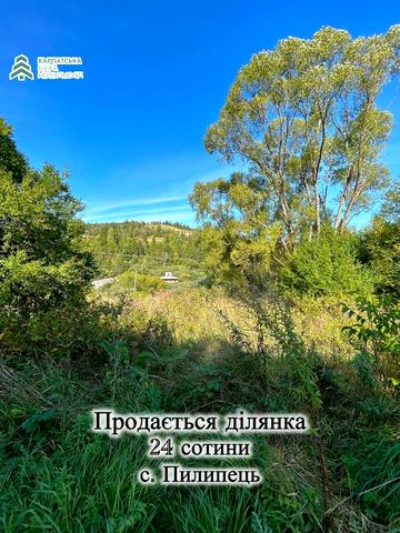 Пилипець, Хустський, Закарпатська область 24000 USD
