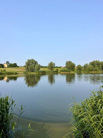 Колонщина, Бучанський, Київська область 13000 USD