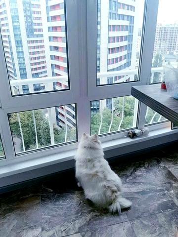 Патріарха Мстислава Скрипника вул., 13