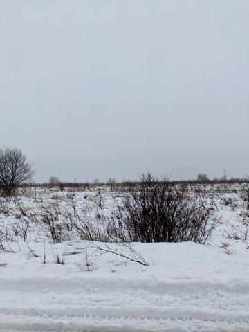 Загвіздя, Івано-Франківський, Івано-Франківська область 9000 USD