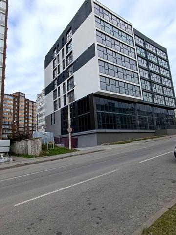 Панаса Мирного вул., (Будинок 1)