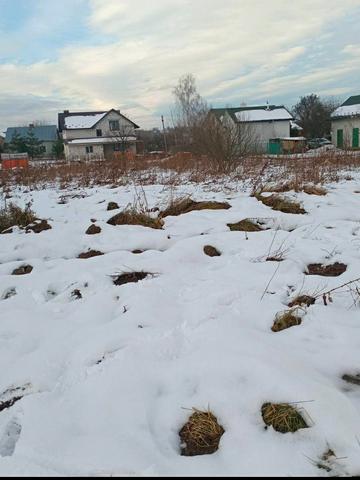 Пантелеймона Куліша вул.