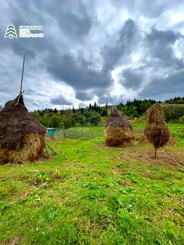 Пилипець, Хустський, Закарпатська область 18000 USD