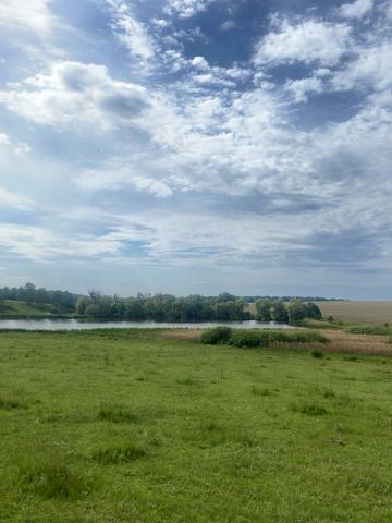 Носівці, Гайсинський, Вінницька область 21000 USD