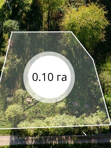 Тараса Шеченка