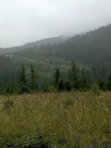 Микуличин, Надвірнянський, Івано-Франківська область 365000 USD