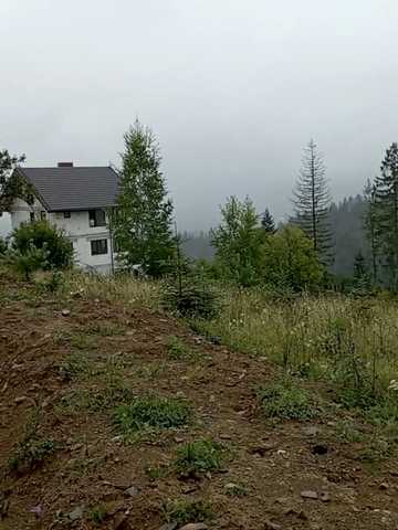 Микуличин, Надвірнянський, Івано-Франківська область 350000 USD