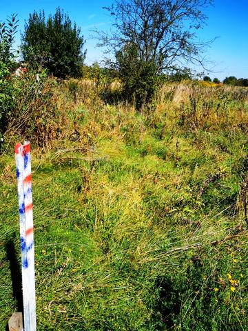 Скнилів, Золочівський, Львівська область 25000 USD