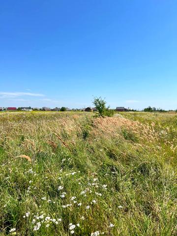 Красне, Золочівський, Львівська область 400000 UAH