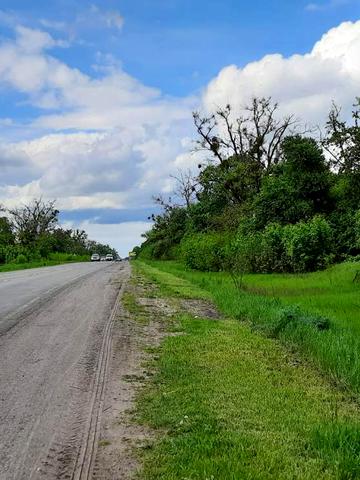 Димер, Вишгородський, Київська область 825000 USD