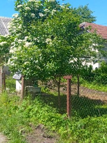 Худорівська