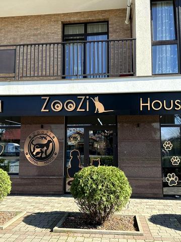 Карпатского Патруса, 11А