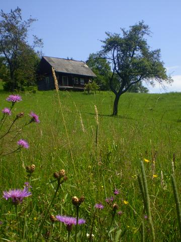 Хмелів, Рахівський, Закарпатська область 54000 USD