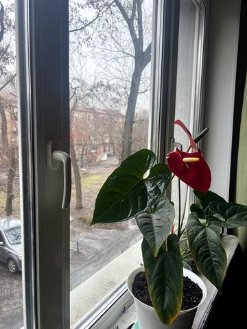 Сергія Нігояна просп. (Калініна), 74