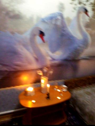 Миколаївська дорога вул., 311