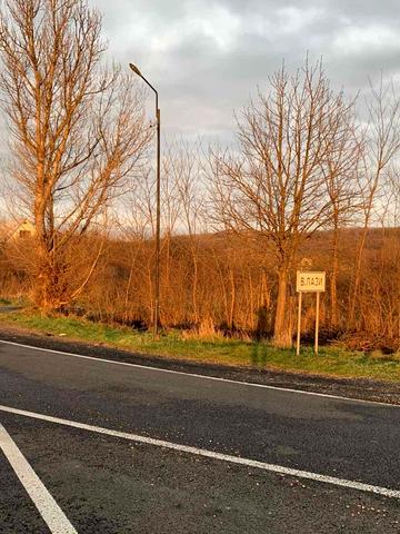 Великі лази, Ужгородський, Закарпатська область 80000 USD