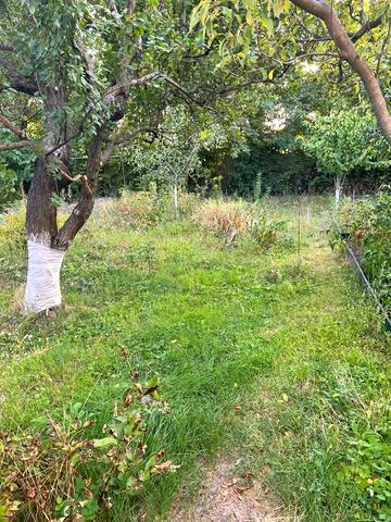 Князя Вітовта вул. (Романовського), 65