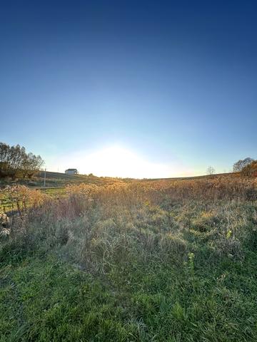 Лесі Українки вул.