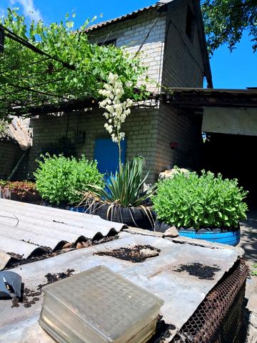 Заводський, Запоріжжя, Запорізька область 4999 USD