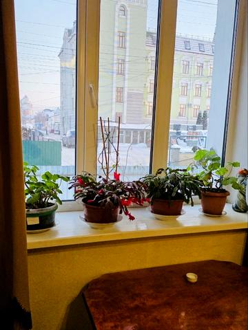 Васильківська вул., 19/1