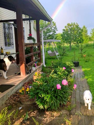 Житомирська вул.