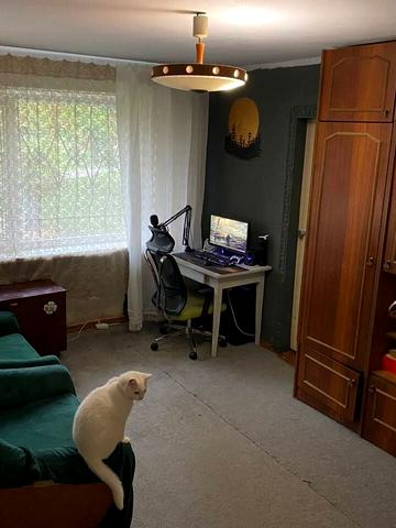 Анатолія Лупиноса вул., 33