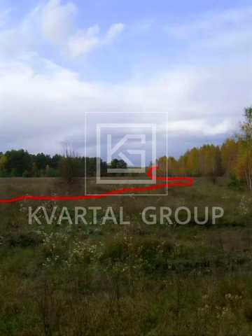 Нижча Дубечня, Вишгородський, Київська область 20000 USD