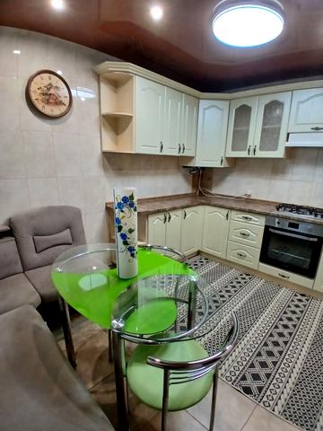 партизанська