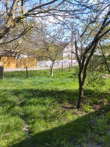 Бистринська