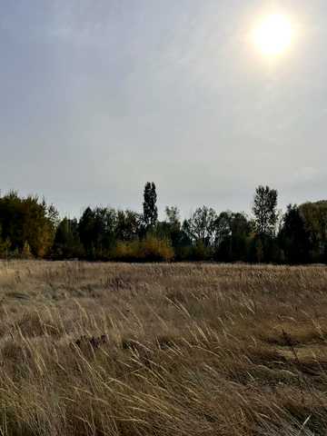 Погреби, Броварський, Київська область 60000 USD