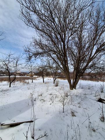 Грушевского