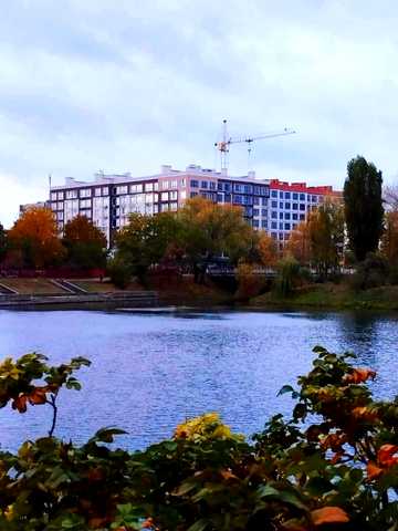 Гетьмана Полуботка вул., 46