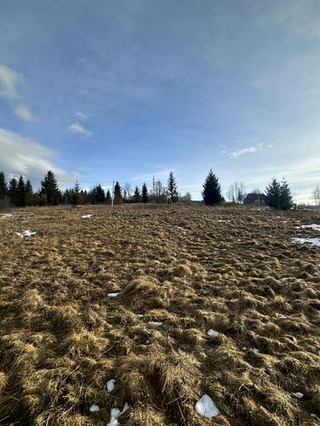 Лазещина, Рахівський, Закарпатська область 45000 USD