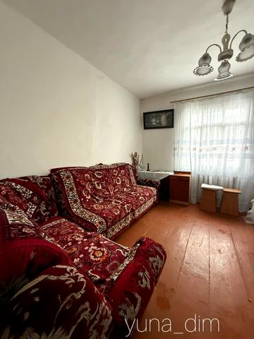 П.Мирного