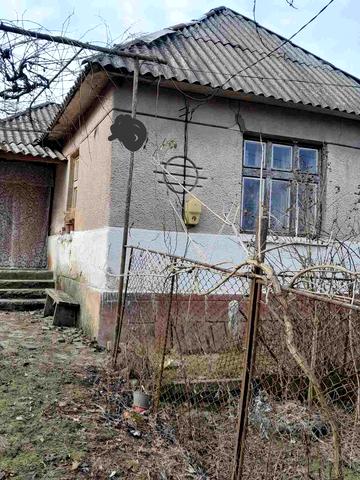 Голика, 49