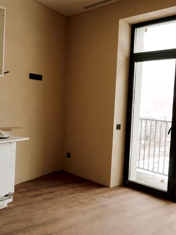 урочище Стаїще, 543