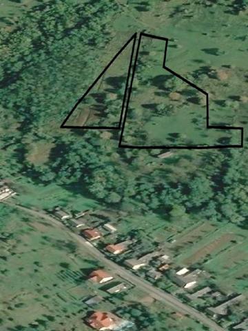 Центральна