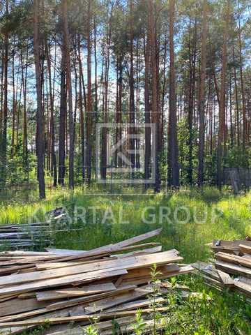 Блиставиця, Бучанський, Київська область 74000 USD