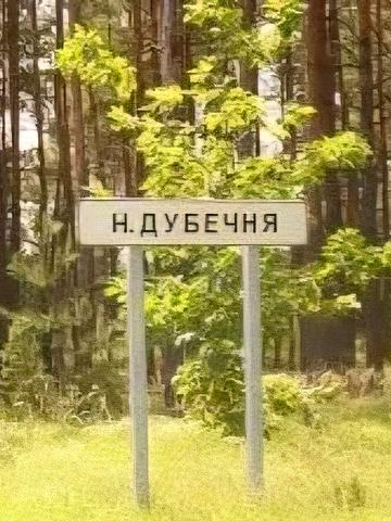 Нижча Дубечня, Вишгородський, Київська область 30000 USD