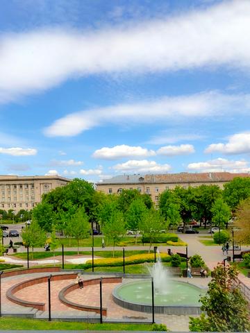 Шевченка бульв., 224