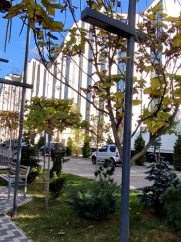 Нова Виноградна вул., 10