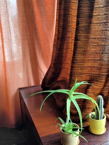 Литовський просп. (Мінський), 12